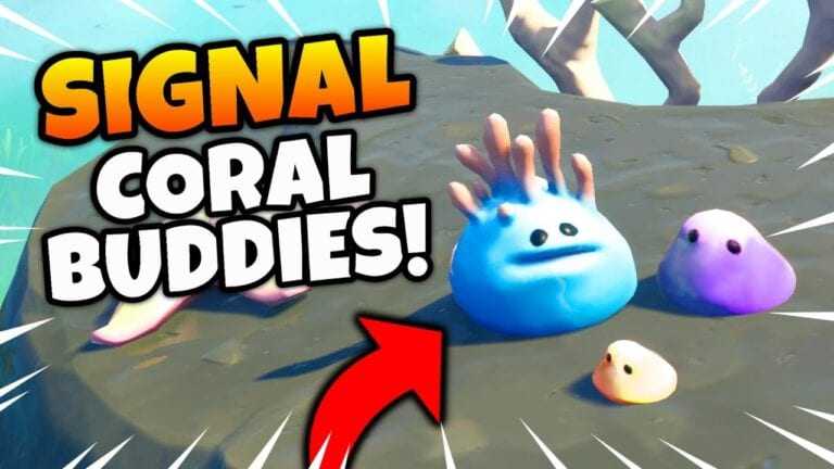 signal the coral buddies