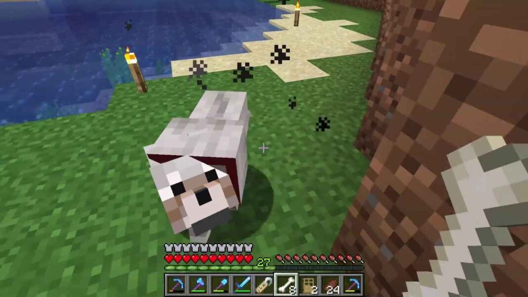 How to Tame and Name a Dog in Minecraft: Step-by-Step Guide