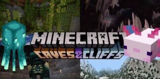 Minecraft 1.17.20.20