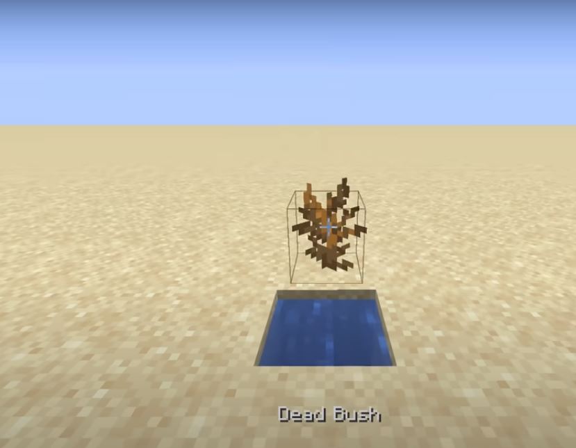 Minecraft Dead Bush in Desert