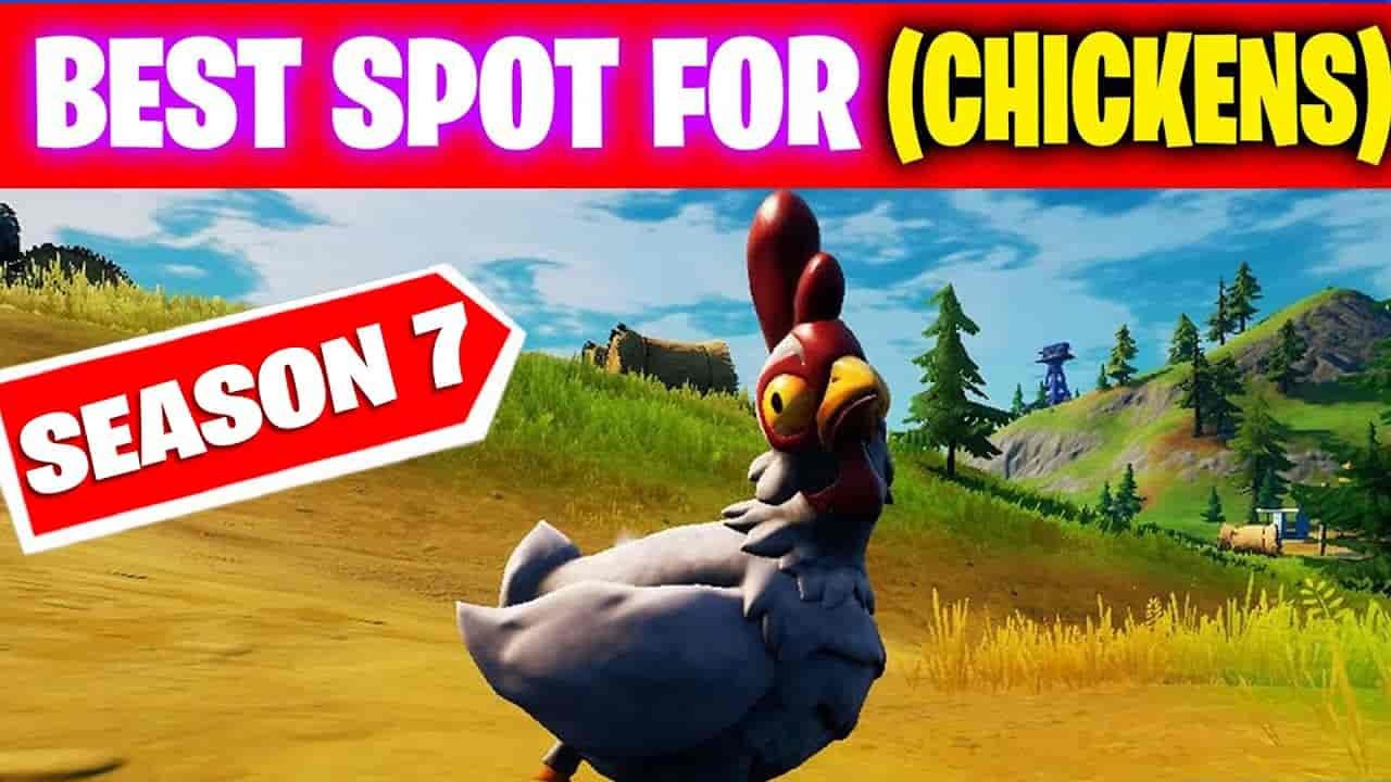 Find Chickens in Fortnite Season 7