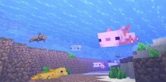 Axolotls in Minecraft