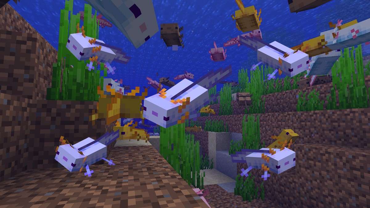 how to get blue axolotls in minecraft