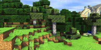 Resources in Minecraft