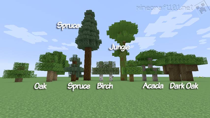 Minecraft Trees