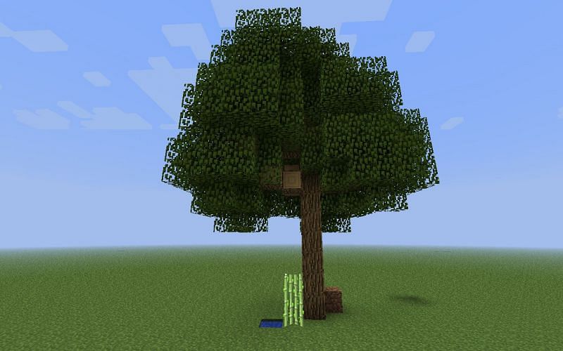 Minecraft Oak Trees