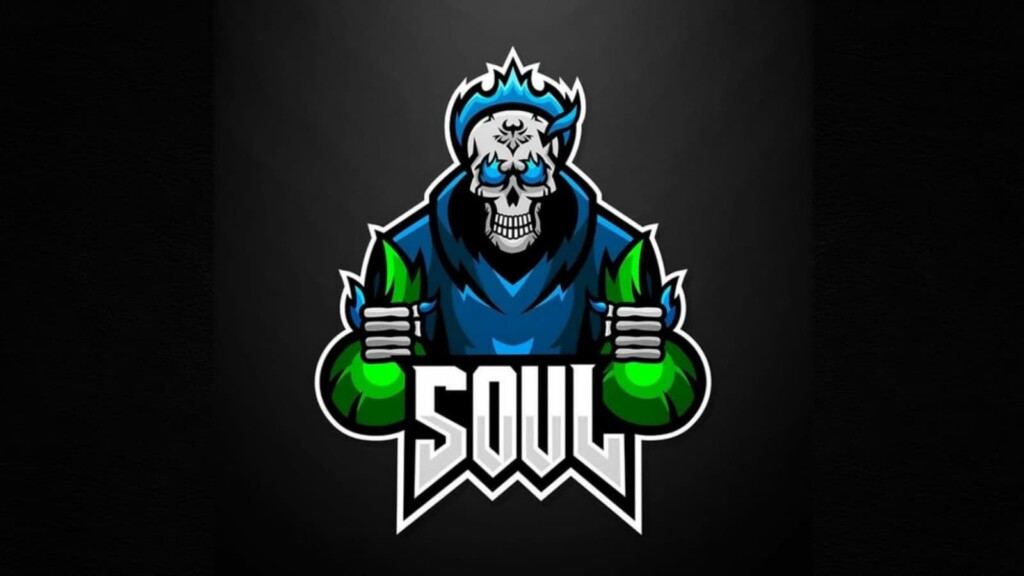 Team SouL Disbanded