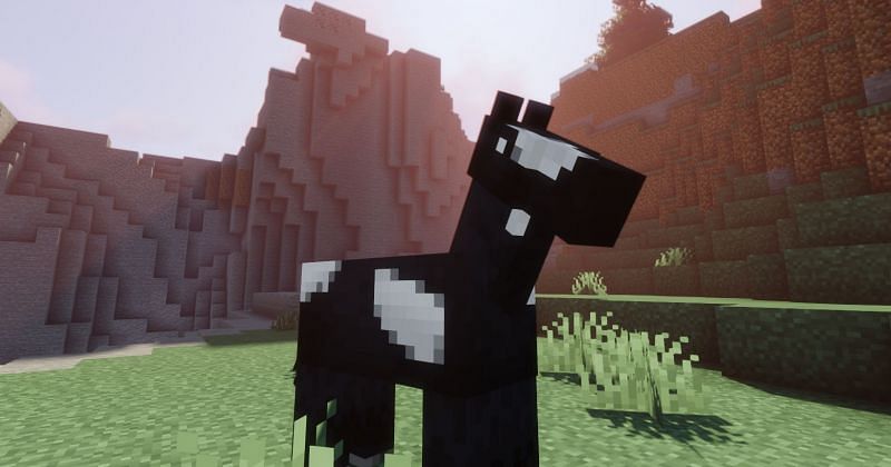 Horses in Minecraft