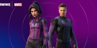 Hawkeye Fortnite Skin