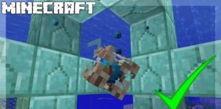 Conduit in Minecraft.