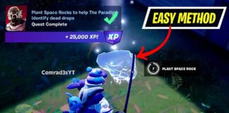 Plant Space Rocks Fortnite: Where to Find Them and What are They?