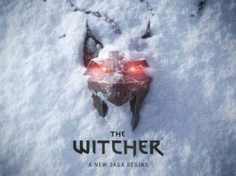 Witcher new game