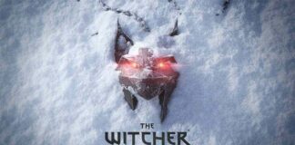 Witcher new game