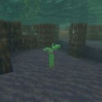 Mangrove Minecraft