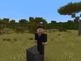 Use Mud in Minecraft