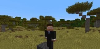 Use Mud in Minecraft