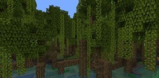 Minecraft Mangrove Trees