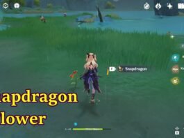 Where to Get Snapdragon and Special Products in Genshin Impact?