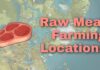 Genshin Impact Raw Meat Location: How to Get Raw Meat Easily?
