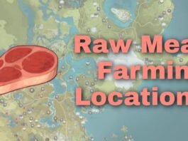 Genshin Impact Raw Meat Location: How to Get Raw Meat Easily?