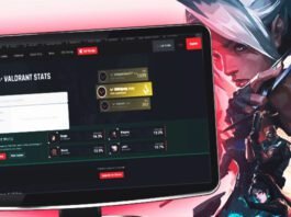 Valorant Stat Tracker