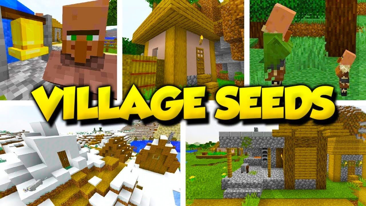 Seeds in Minecraft