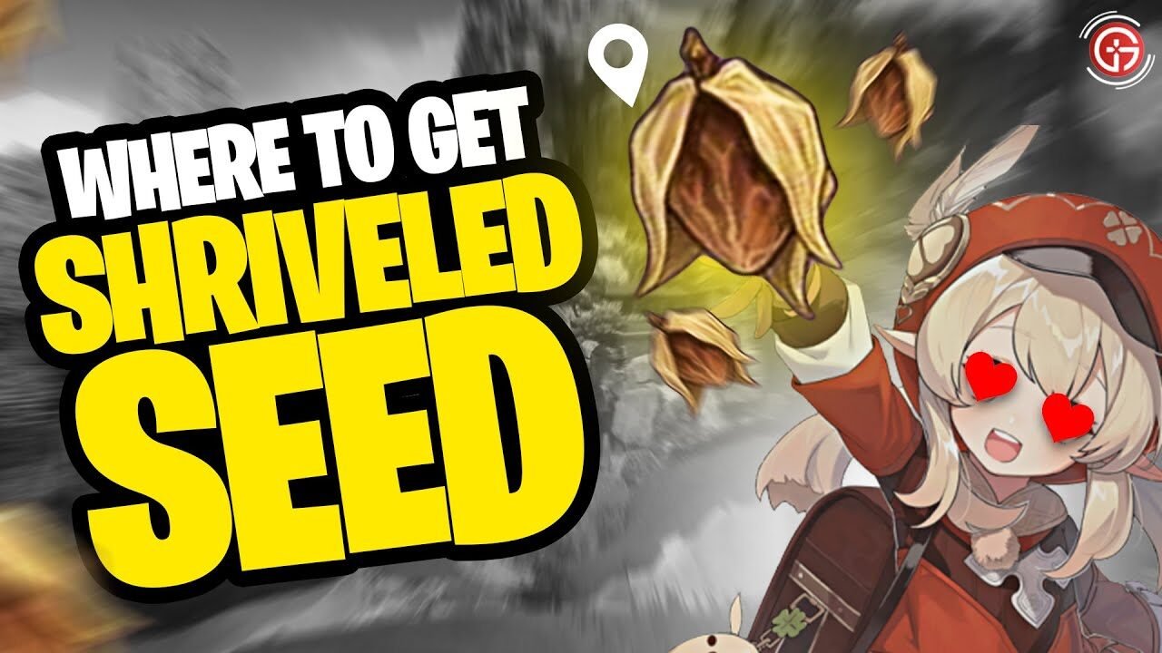 Sheriveled Seed in Genshin Imapct