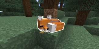 Tame Fox in Minecraft