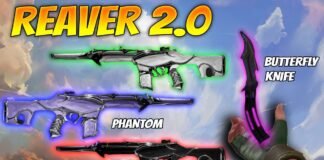 Valorant Reaver 2.0 skin bundle