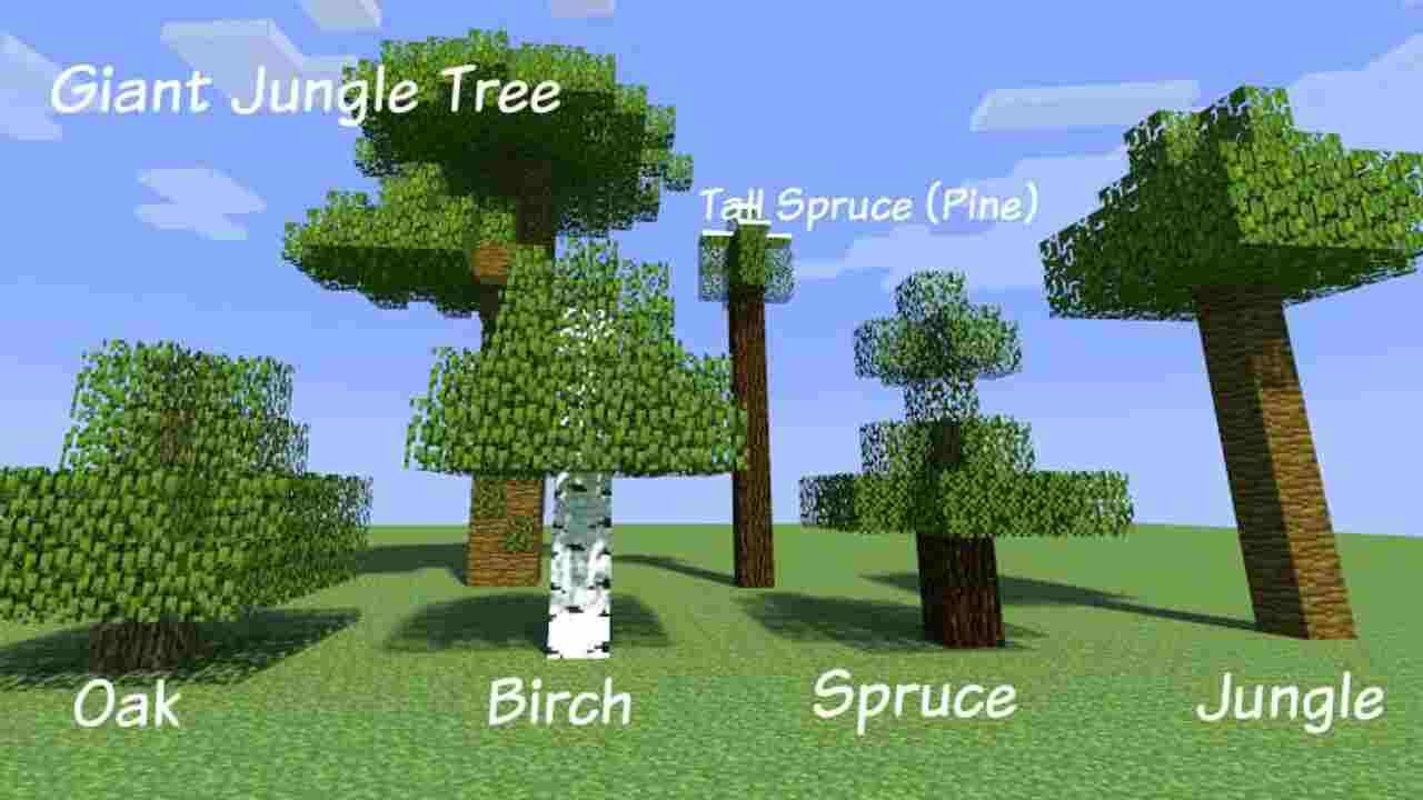 Minecraft Trees Farming Guide: How to Plant Trees in Minecraft? 