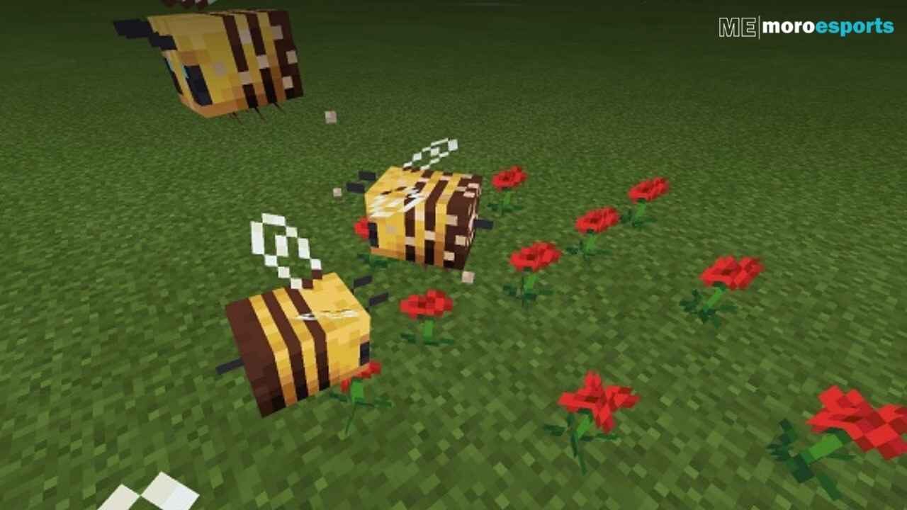 Minecraft Bees: Characteristics, Measures, and More!