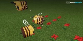 Minecraft Bees: Characteristics, Measures, and More!