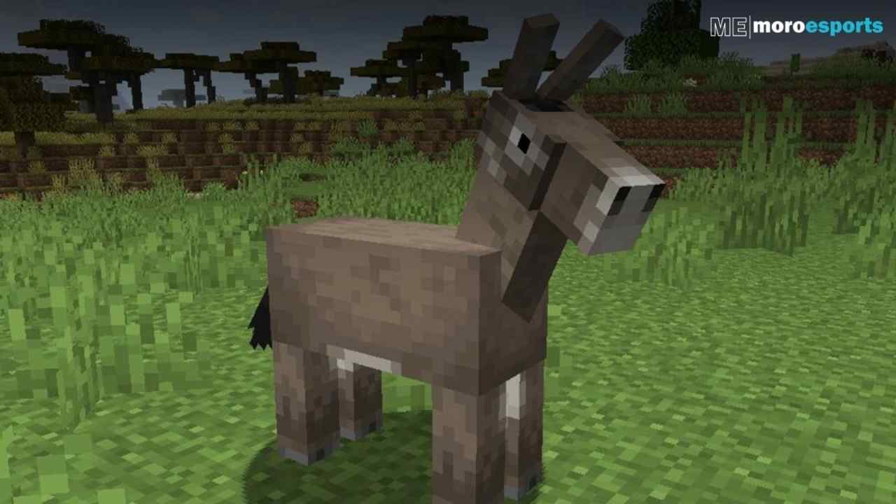 | Minecraft Guide: How to Tame a Donkey in Minecraft?