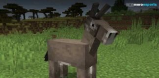 | Minecraft Guide: How to Tame a Donkey in Minecraft?