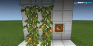 Sunday, 18 September 2022 | Top 3 Best Tips and Tricks about Glow Berries in Minecraft! | Cerdit: Mojang
