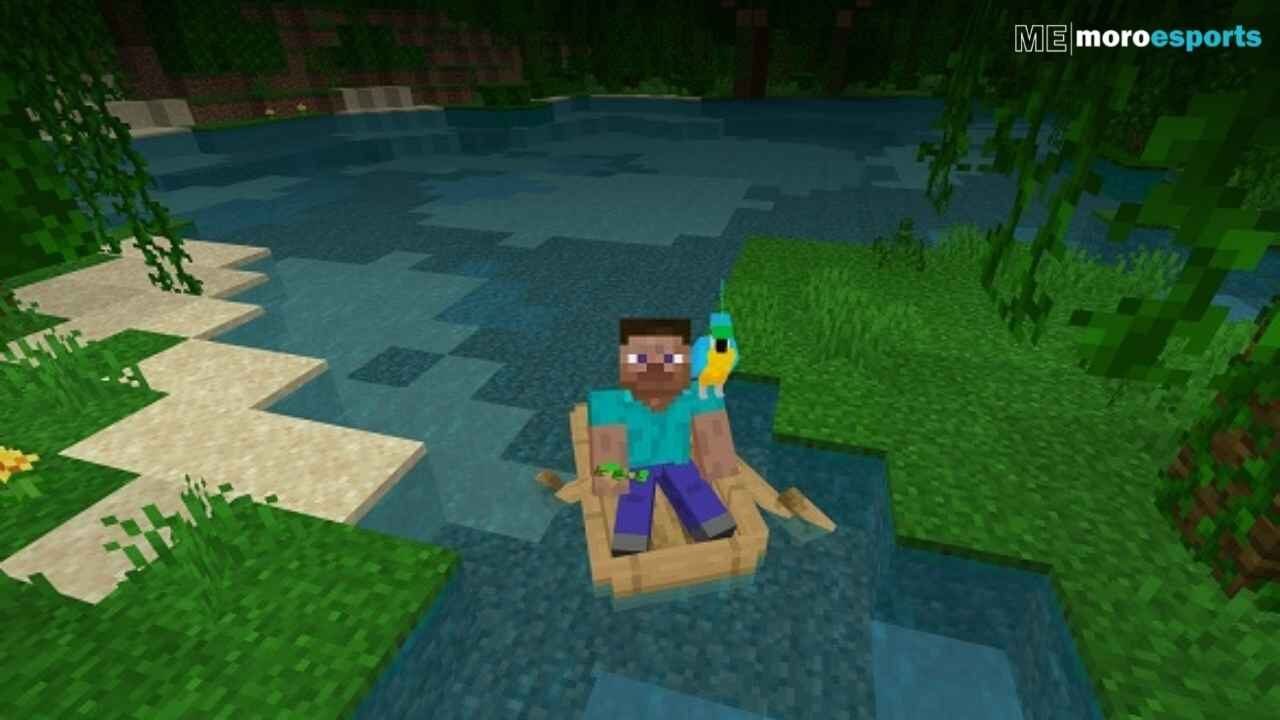 Sunday, 18 September 2022 | Minecraft Parrot: Characteristic, Measures, and More!