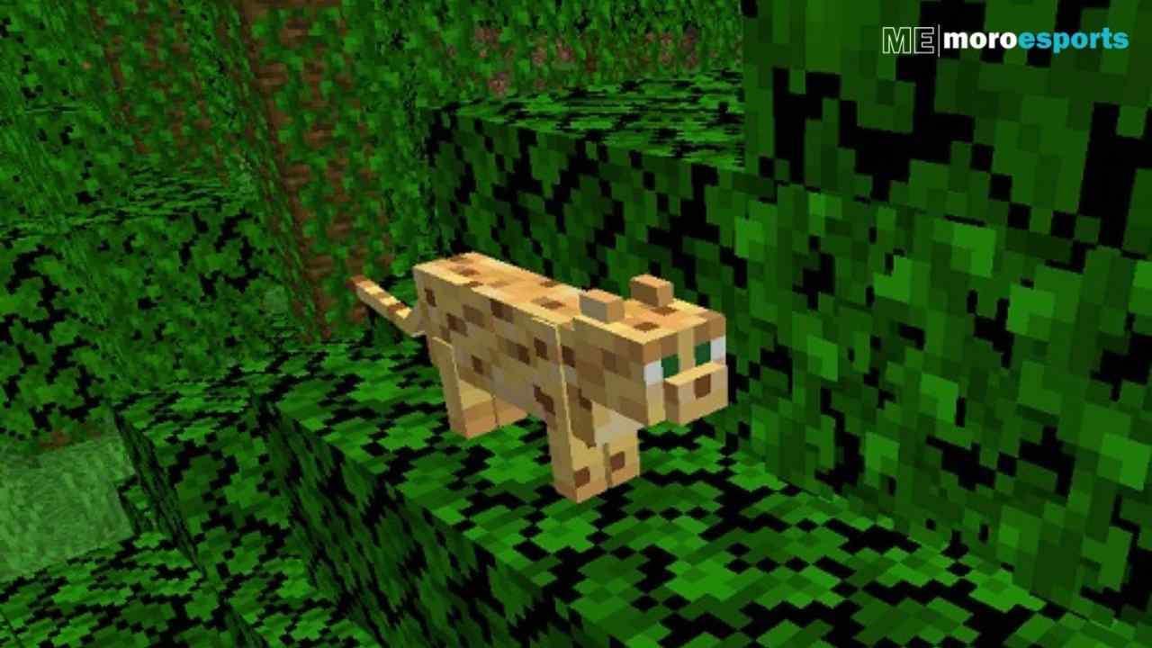Minecraft Ocelots: Everything You Need to Know!