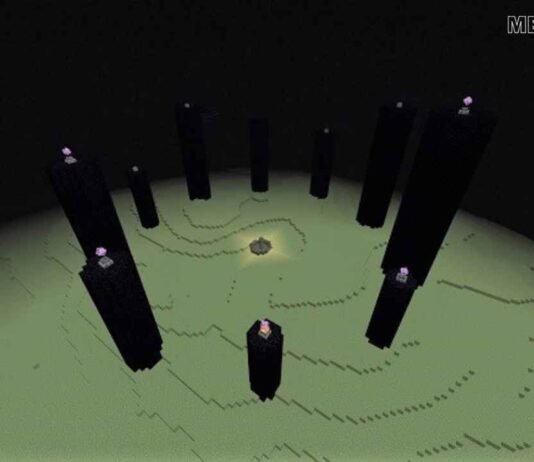 Sunday, 18 September 2022 Top 5 Best Tips and Tricks about The End in Minecraft!