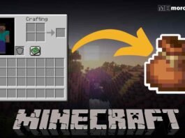 Minecraft Bundle