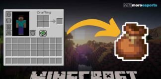 Minecraft Bundle