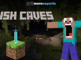 Minecraft Lush Caves