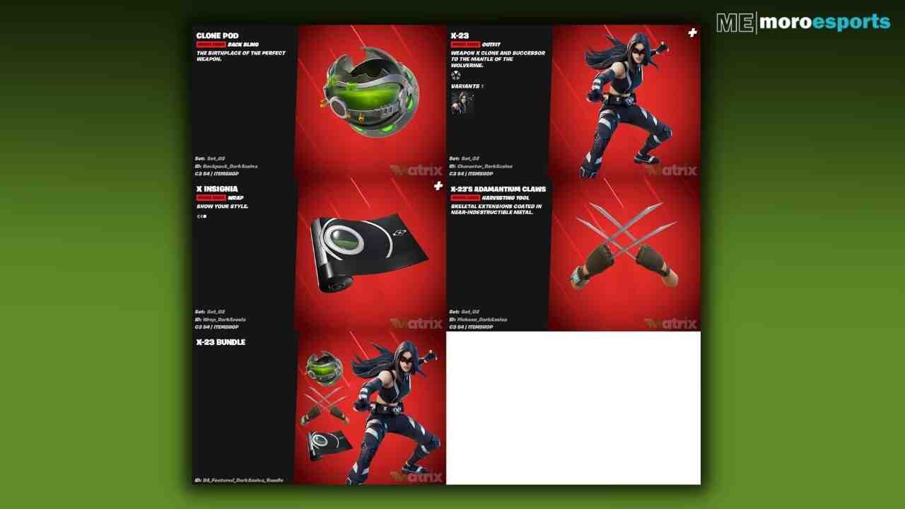 Fortnite x 23 skin bundle