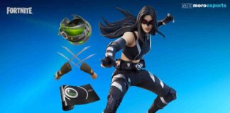 fortnite x 23 set