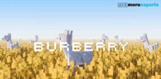 burberry x minecraft collab