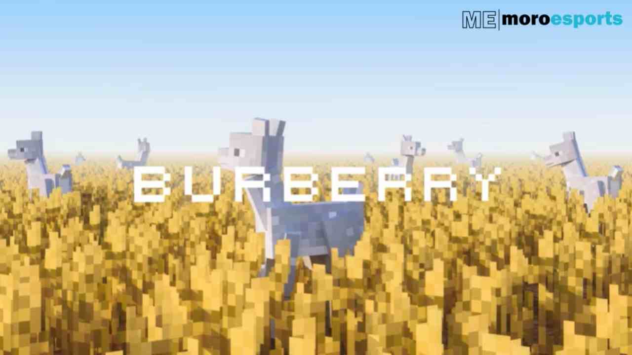 burberry x minecraft collab