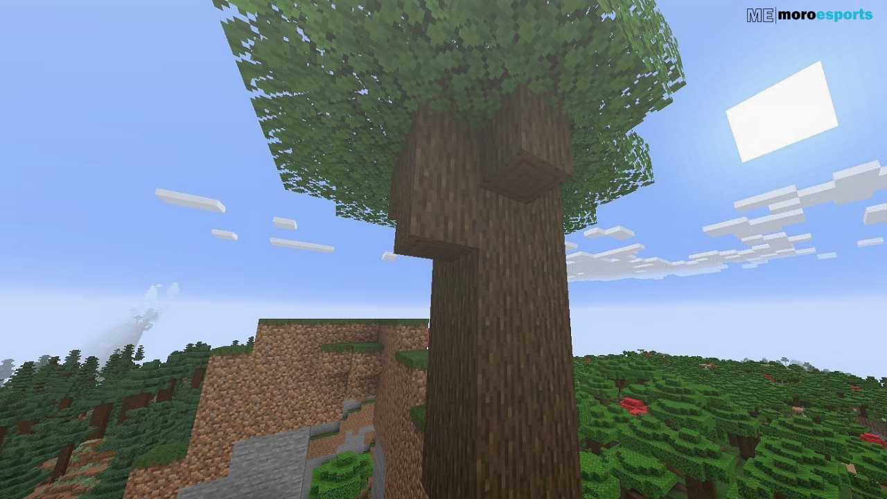 dark oak minecraft