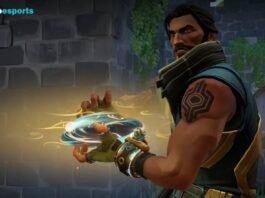 Harbor Guide