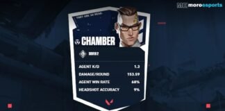 Valorant Customized Agent Badge