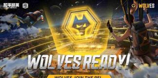 WOLVES ESPORTS ACQUIRES A SPOT IN THE PUBG MOBILE CHINESE LEAGUE