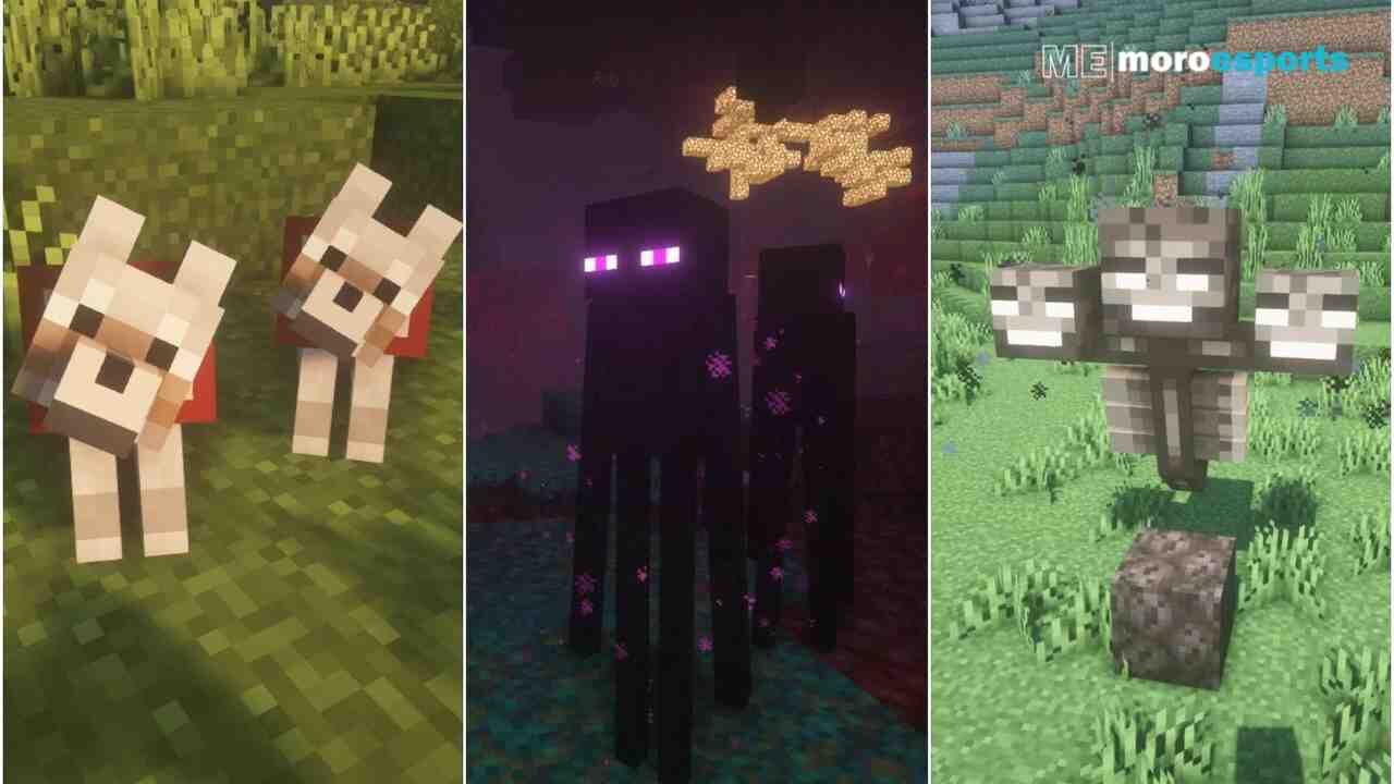 What are the Top 5 Tallest Mobs in Minecraft 1.19?